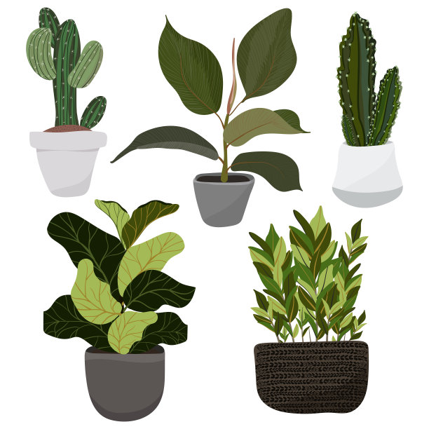 一套hygge矢量插图植物在罐子贴纸，补丁，大头针收集等图片下载