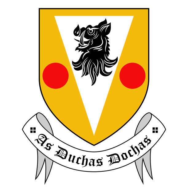 爱尔兰西部纽卡斯尔市的盾形纹章图片下载