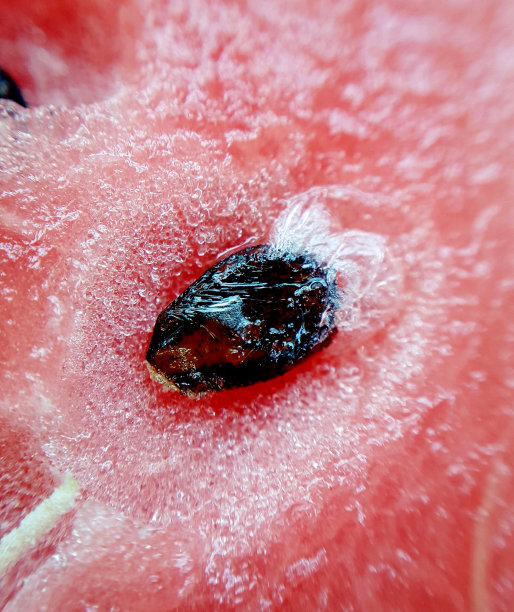 西瓜籽的特写照片图片下载