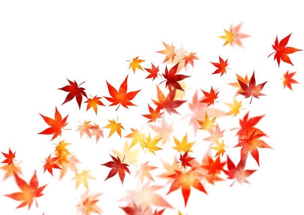 日本枫木水彩纹理插图图片下载