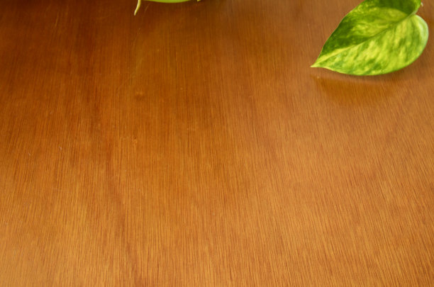 木质植物背景图片下载