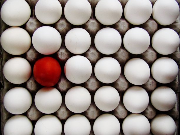 把这个人挑出来!图片下载