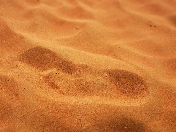 金色沙滩上的成人脚印图片下载