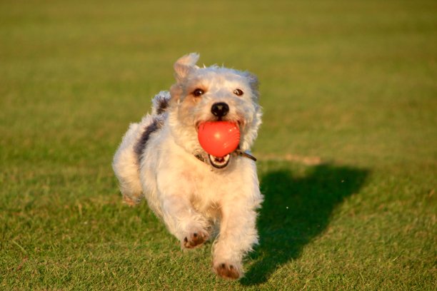 球时间(景观)图片下载