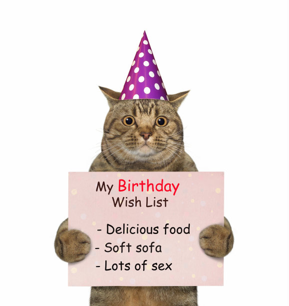 猫抱着生日愿望清单2图片下载