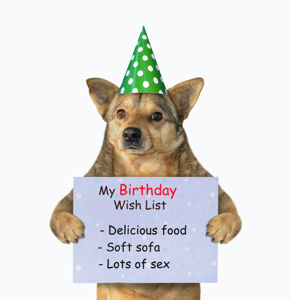 狗抱着生日愿望清单图片下载
