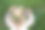 金发小女孩戴着用各种野花编成的五彩花环。Backview图片下载