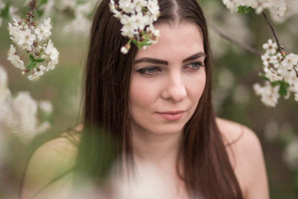 看那些盛开的树图片下载