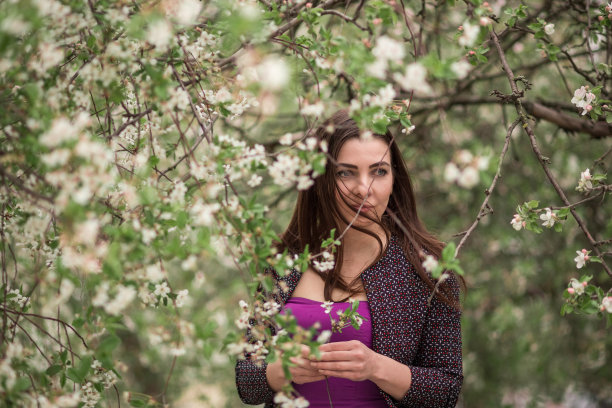 看那些盛开的树图片下载