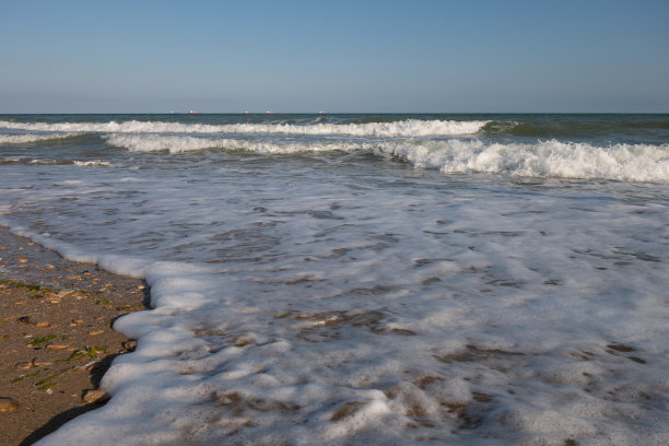 泡沫的海岸。涌潮。海滩。无聊的海。图片下载