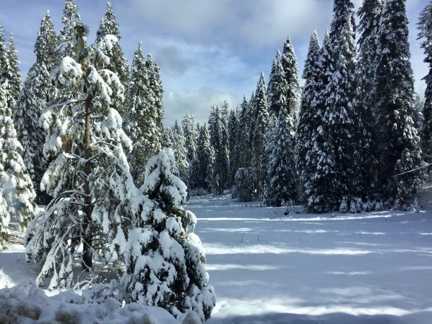 雪道路图片下载