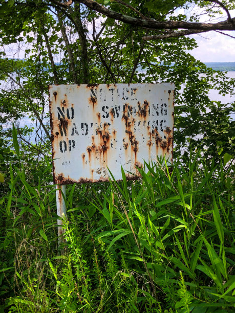 没有游泳图片下载