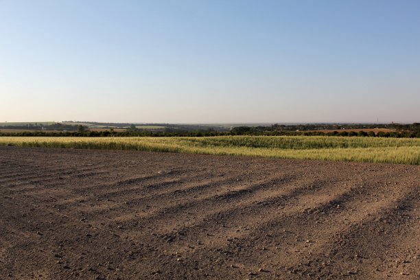 下午的麦田和马路图片下载