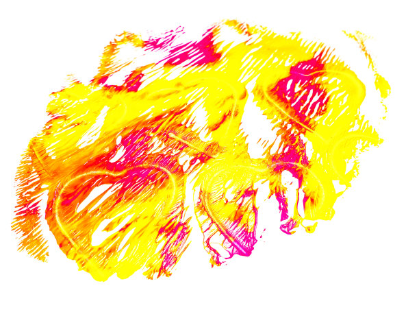 心形孤立在白色上图片下载