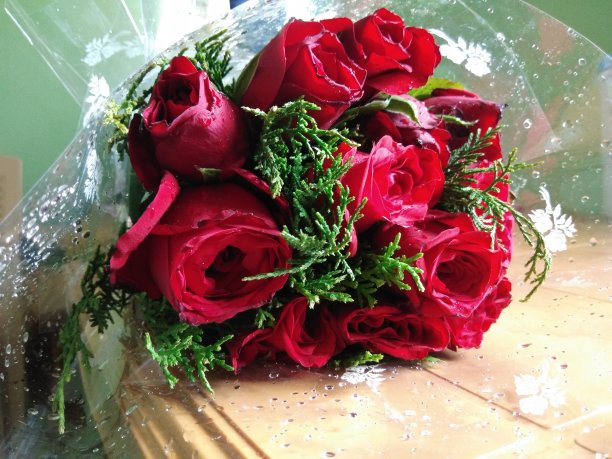 玫瑰花朵图片下载