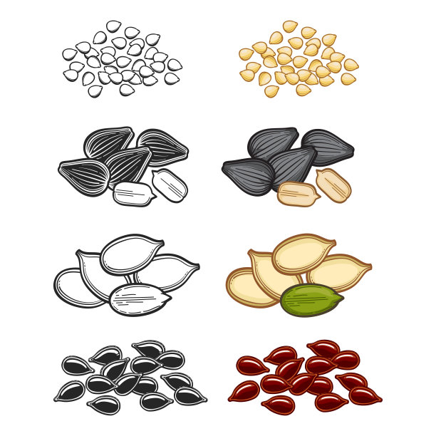 流行的种子草图矢量插图。线条和卡通种子图片下载