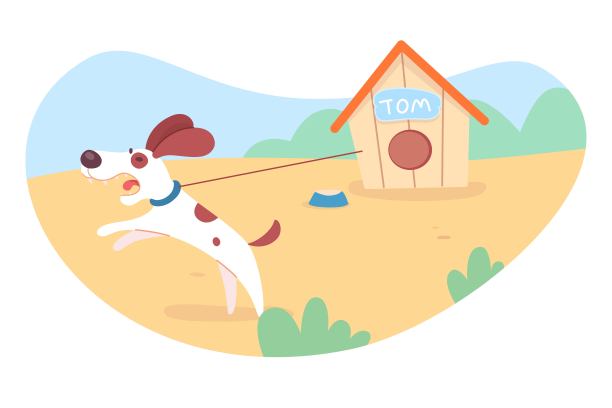 愤怒危险的狗大声吠。在院子里被狗屋锁住的宠物图片下载