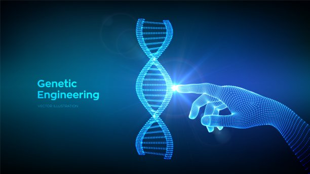 手触摸DNA序列分子结构网。线框DNA代码可编辑模板。基因工程。医学研究。科学技术概念。矢量插图。图片下载