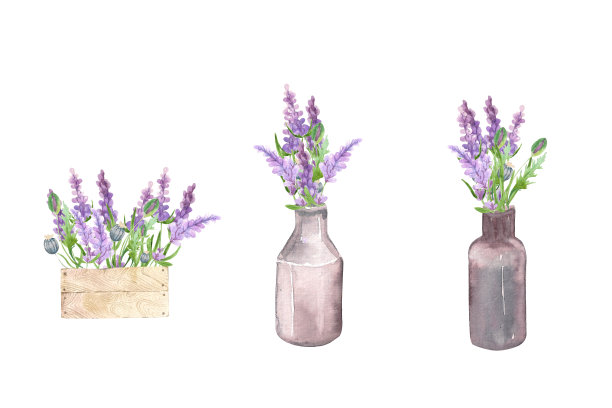 水彩插图。图片下载