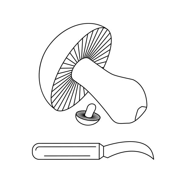 厨房刀具。一个可食用的蘑菇和一把削皮刀。图片下载