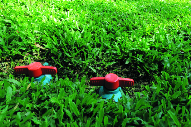 红色PVC塑料阀图片下载