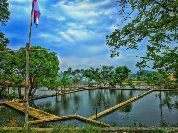 渔村养鱼场图片下载