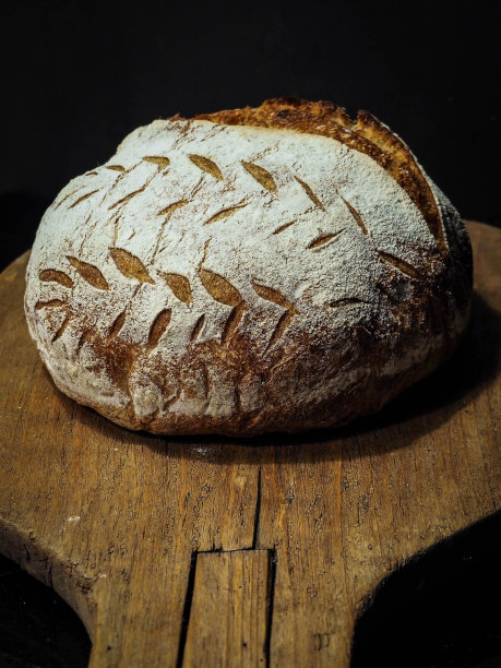 早上烤图片下载