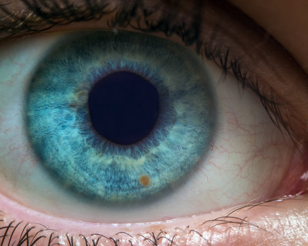 蓝色眼睛的微距图片下载