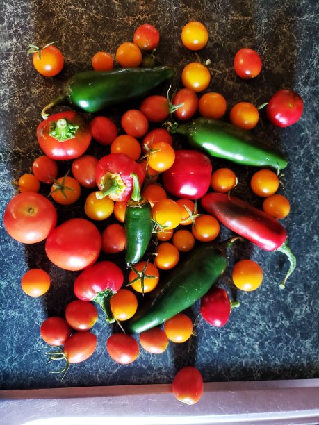 早上不义之财图片下载