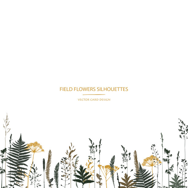 向量轮廓集合。一套野地花，草本植物。卡的设计。图片下载
