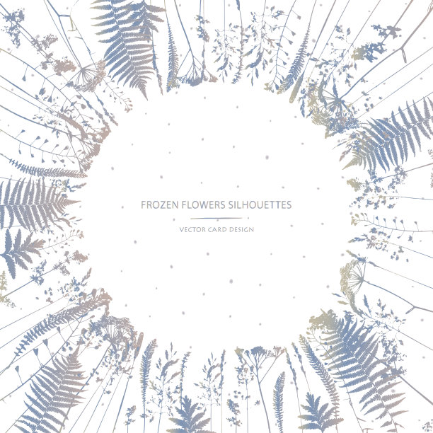 向量轮廓集合。一套野地花，草本植物。卡的设计。冷冻效果。图片下载