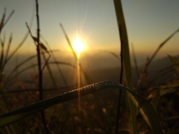 草地后面的日出图片下载