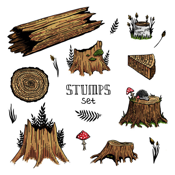 彩色向量树桩森林设置图片下载