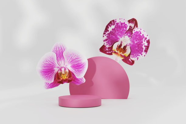 3D讲台基座与天然粉色兰花花美容化妆品展示。展示与复制空间上的白色背景。抽象的旗帜站模型。时髦的3D渲染插图模板图片下载