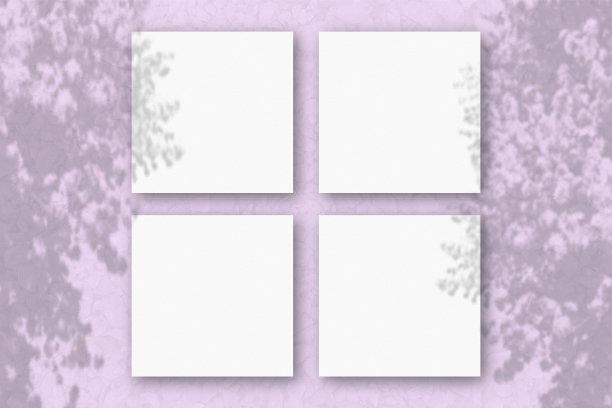 4张方形的白色纹理纸在粉红色的墙壁背景上。模型覆盖的植物阴影。自然光在外来植物上投下阴影。平躺，俯视图图片下载