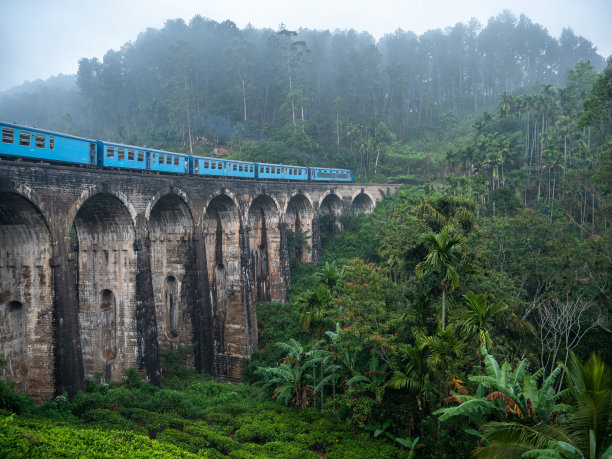 瑞士高架桥上的火车，夏天的火车之旅图片下载