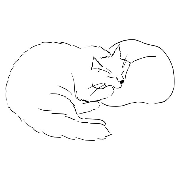 画了一只可爱的小猫躺在枕头上睡觉。黑白插图的动物。动物的真实形象。矢量孤立字符线画插图。股票图片下载