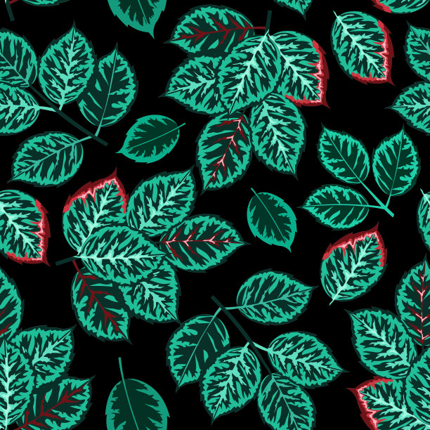 无缝模式与玫瑰花蕾和叶。图形插图上的黑色背景。适用于披肩、手帕、婚纱、面料、墙纸、图案、数码纸、服装的设计图片下载