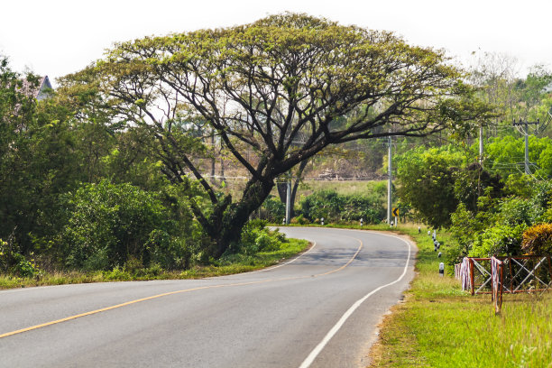 接受静脉注射药物治疗者。图片下载