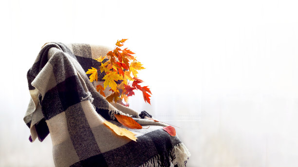 格子花呢上的黄色叶子。秋天的装饰。Hygge风格。特写镜头图片下载