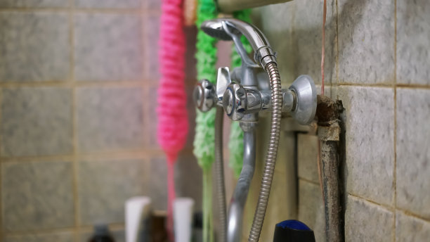 淋浴后的墙上挂着五颜六色的海绵和毛巾图片下载