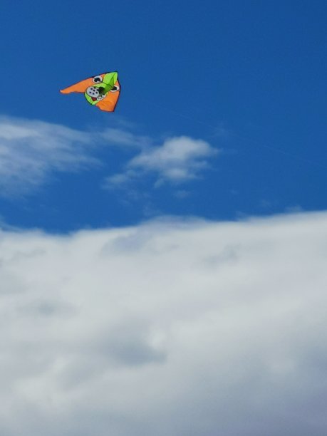 天空中的风筝图片下载