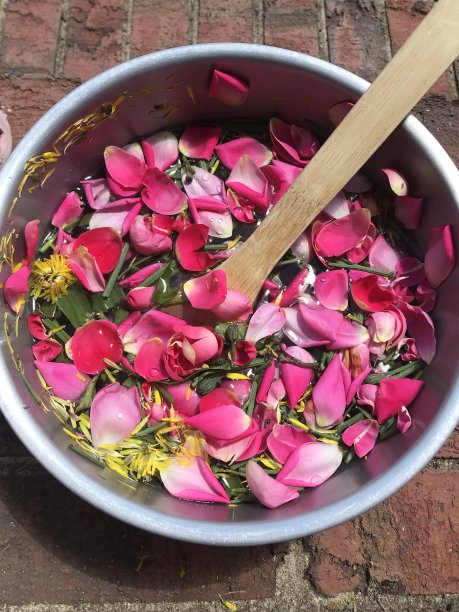 玫瑰汤图片下载