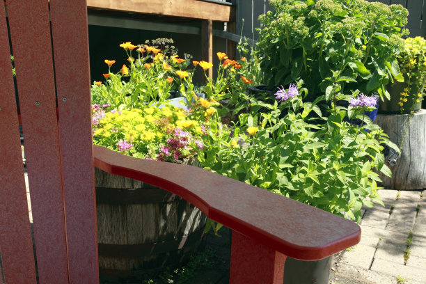 自由奔放的自然园艺图片下载