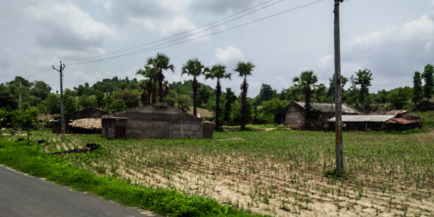 森林山丘和村庄图片下载