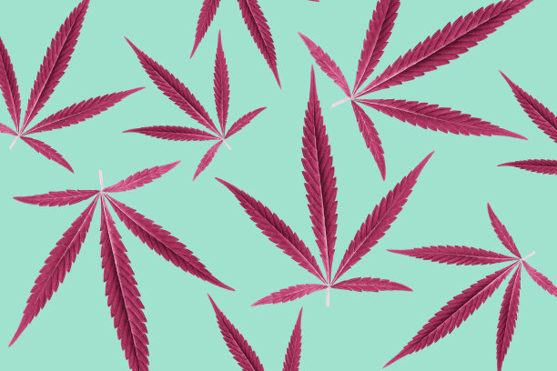 很酷的大麻叶背景墙纸设计图片下载
