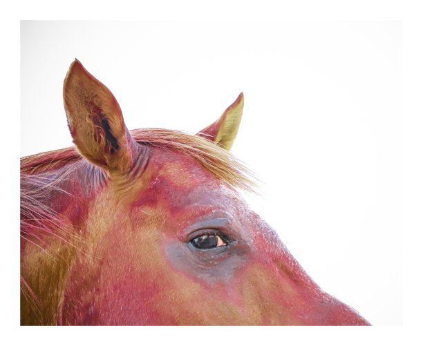 外观。图片下载