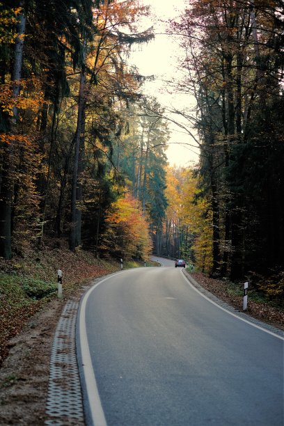 秋天道路的观点。秋天的风景。秋天旅游旅游。秋天的季节。秋天大自然壁纸图片下载