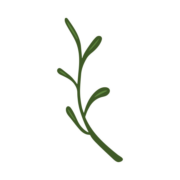 手绘的一个植物的分支，花孤立在一个白色的背景。涂鸦，简单的大纲插图。可用于纺织品、纸张等表面的装饰。图片下载