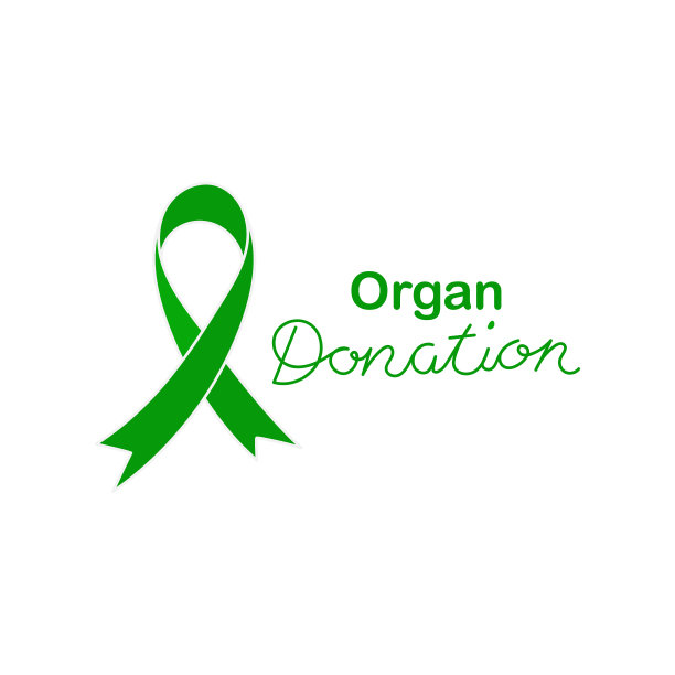 器官捐赠，手写题字。绿色的丝带。器官移植和器官捐赠意识。向量模板图片下载